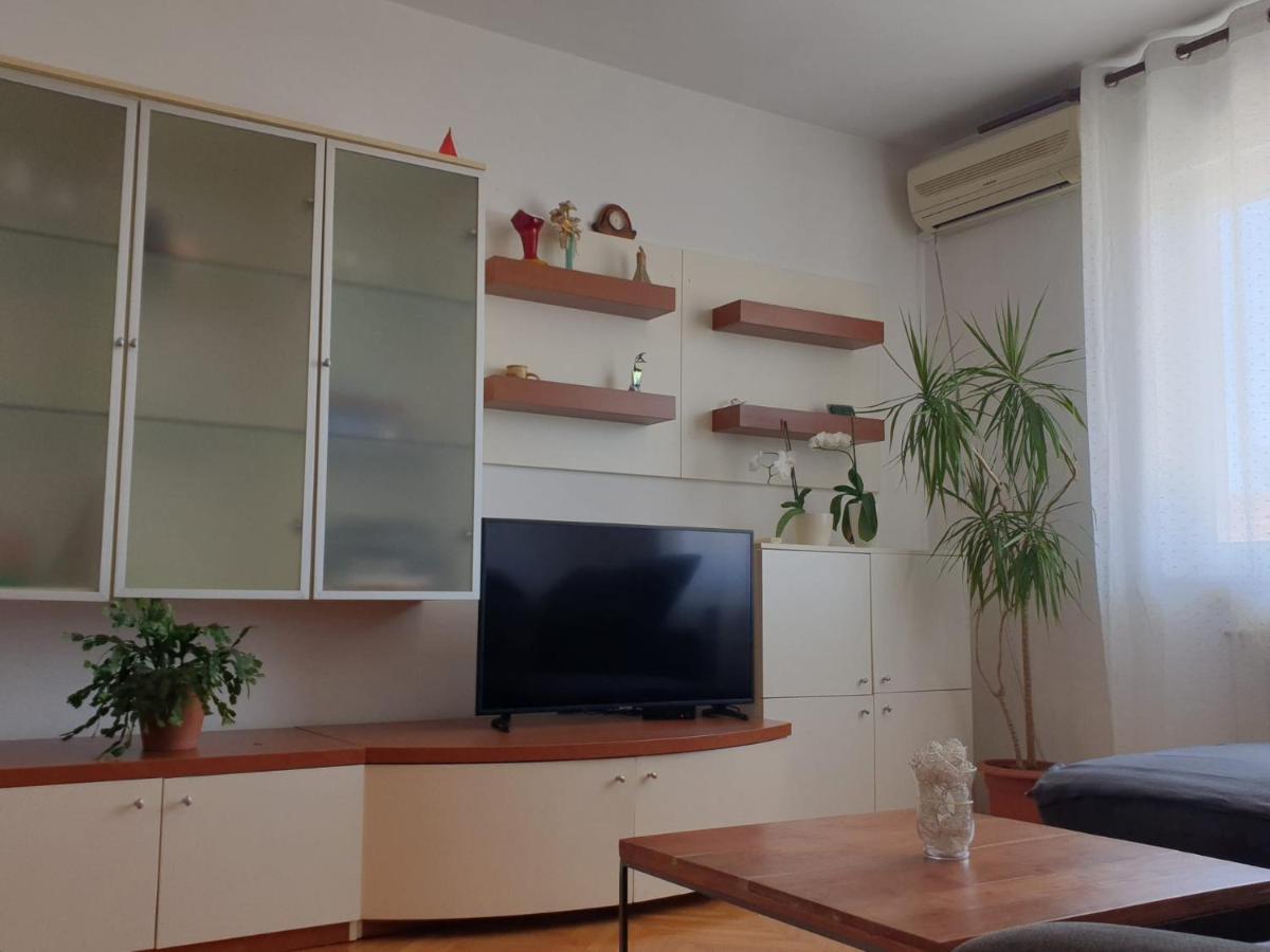 Apartments Ivana Zadar Zewnętrze zdjęcie